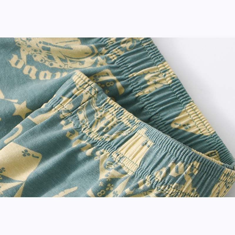 1 Stuks Heren Aro Broek Katoen - Boyshort Underwear recensie en prijs
